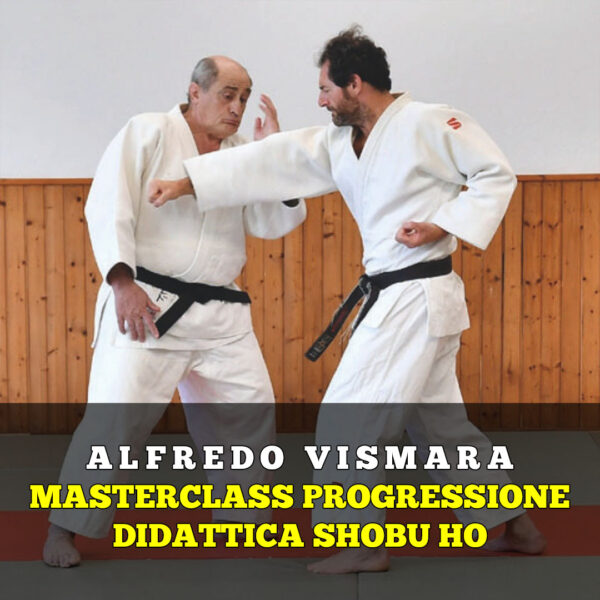 Masterclass Progressione Didattica Shobu - Shinken Shobu Waza