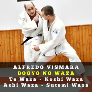 Bogyo di Te, Koshi, Ashi e Sutemi waza (4 video lezioni)