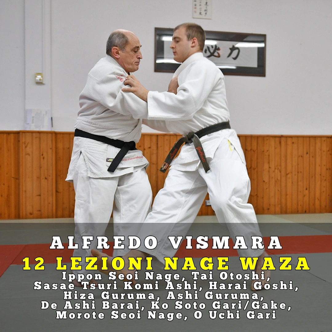 12 video lezioni di Nage Waza