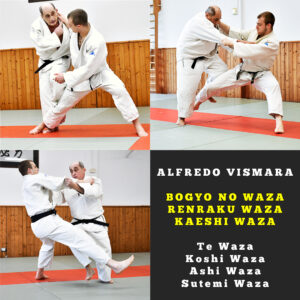 Bogyo, Renraku and Kaeshi Bundle for Te, Koshi, Ashi and Sutemi waza (12+2 video lessons)