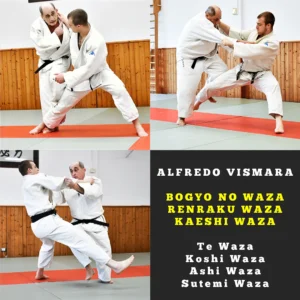 Offerta Bogyo, Renraku e Kaeshi di Te, Koshi, Ashi e Sutemi waza (12+2 video lezioni)