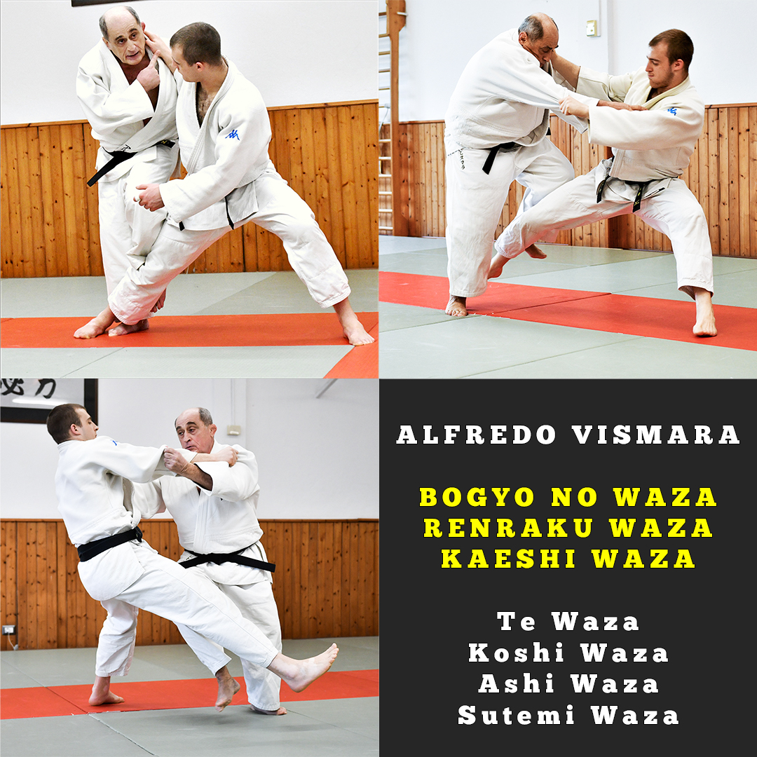 Bogyo, Renraku and Kaeshi Bundle for Te, Koshi, Ashi and Sutemi waza (12+2 video lessons)