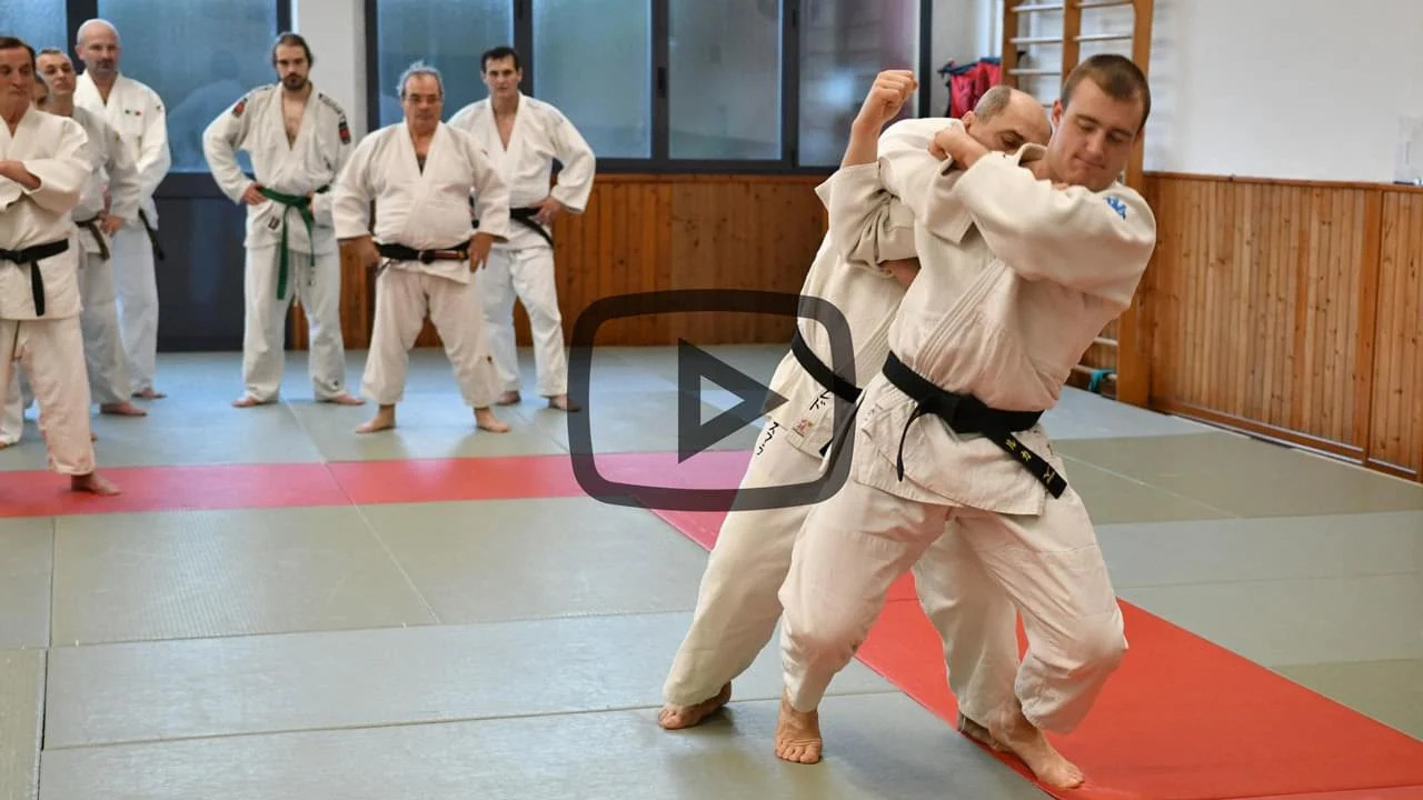 Bogyo di Te, Koshi, Ashi e Sutemi waza (4 video lezioni) - immagine 3