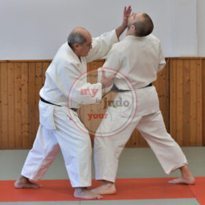 Shobu Ho – Il combattimento reale del Judo