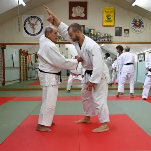 Tecnica di Tachi Ai in piedi - Lezione Kime no Kata 2022