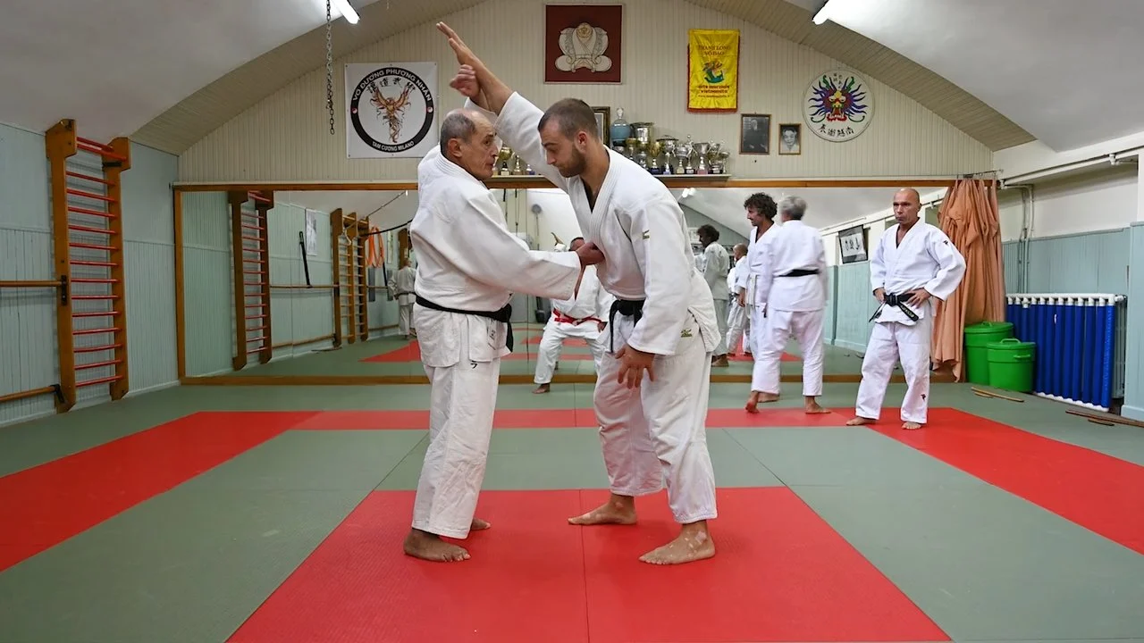 Tecnica di Tachi Ai in piedi - Lezione Kime no Kata 2022